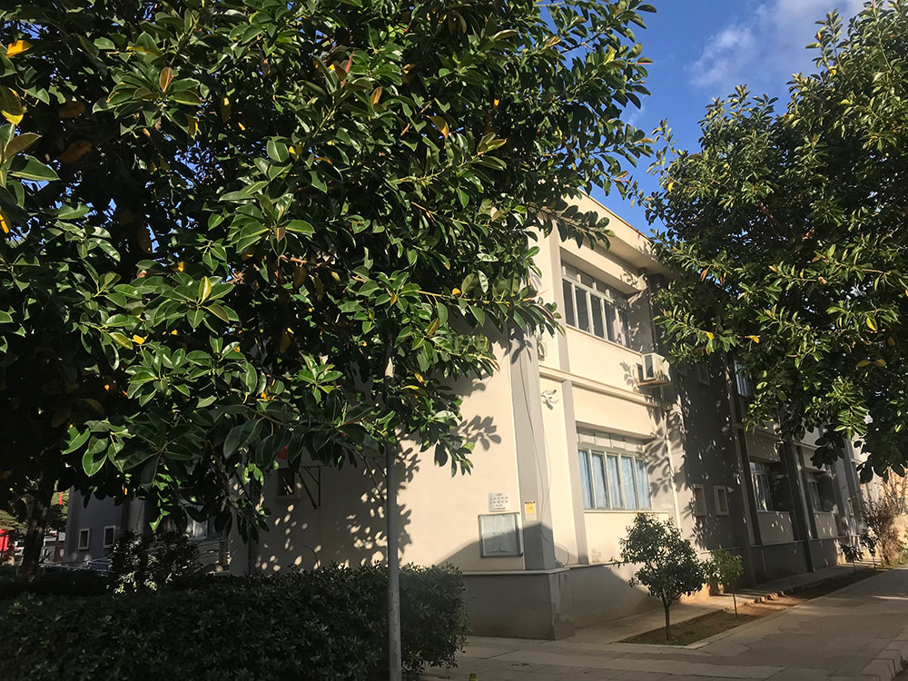 images de amicis sede